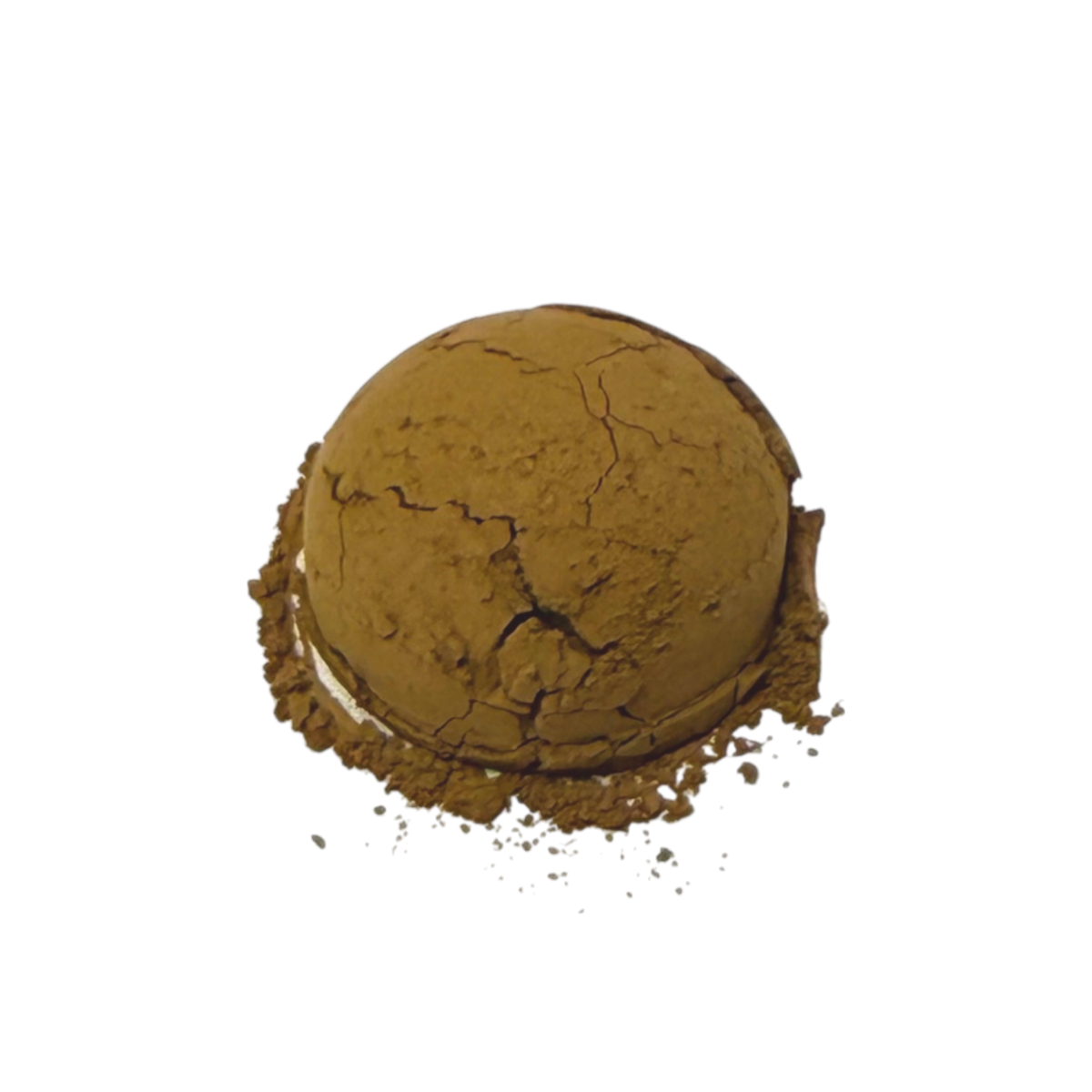 Organic Hojicha 100g